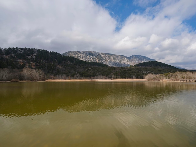 Bellissimo lago e foresta in autunno