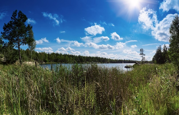 Bellissimo lago estivo