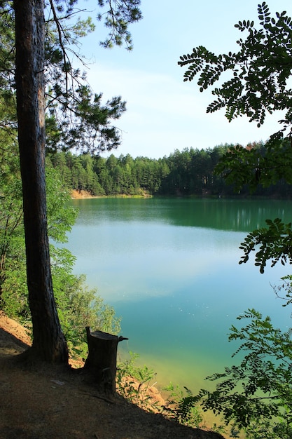 Bellissimo lago forestale con acqua smeraldo nella foresta di pini meravigliosa vista naturale paesaggio naturale selvaggio