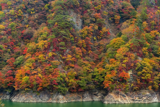 Bellissimo lago in autunno