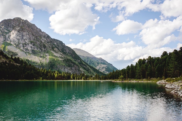 Bellissimo lago Multinskoe. Il lago Multinskoe si trova nell'Altai, sul versante settentrionale della cresta Katun nella parte superiore del Cartoon e dei suoi affluenti superiori.