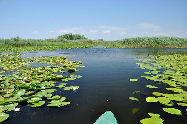 Bellissimo lago nel delta del Danubio in Romania