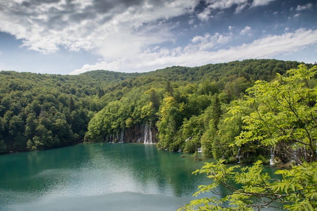 Bellissimo lago nel mezzo della foresta