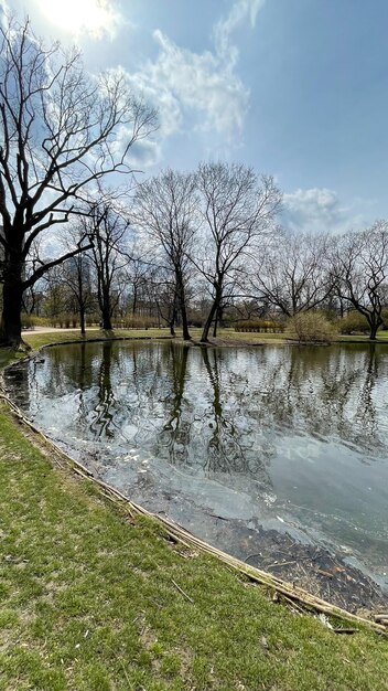 Bellissimo lago nel parco