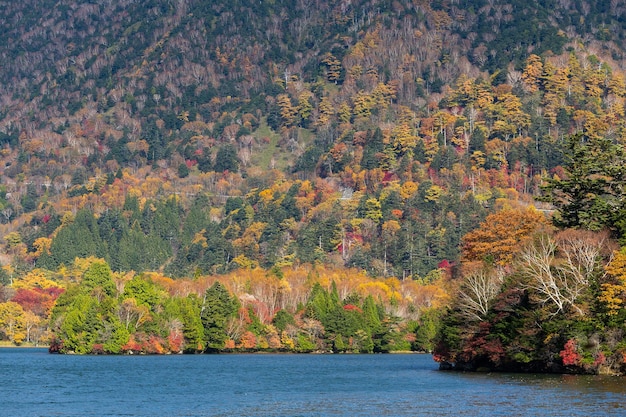 bellissimo lago