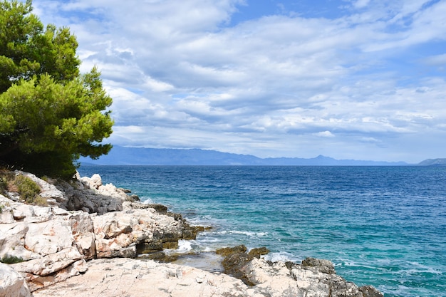 Bellissimo mare Adriatico in Croazia, Hvar. Pino verde, rocce, acqua turchese piacevole