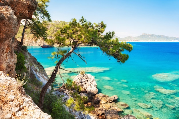 Bellissimo mare con acqua turchese e pini vicino a Kemer, Turchia. Paesaggio estivo