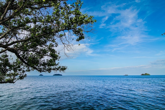 Bellissimo mare con il cielo e l'albero