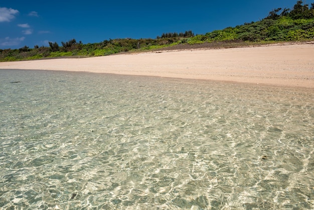 Bellissimo mare cristallino scintillante sabbia corallina in una spiaggia tropicale di Okinawa