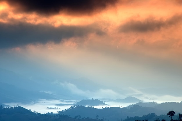 Bellissimo mare di nebbia in una valle con una nuvola di cielo arancione in un'ora di alba