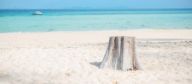 Bellissimo mare e spiaggia all'isola di bambù sull'isola di Phi Phi don Krabi Thailandia destinazione estate Vacanze di viaggio e concetto di vacanza