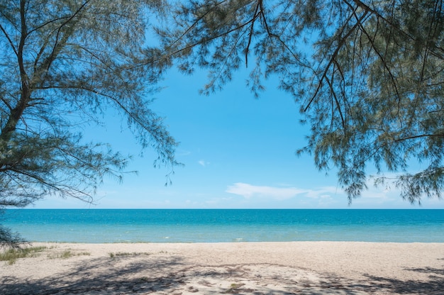 Bellissimo mare tropicale con ramo di albero ombroso sulla spiaggia