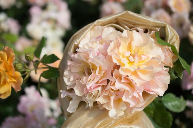 Bellissimo mazzo di rose in fiore nel giardino