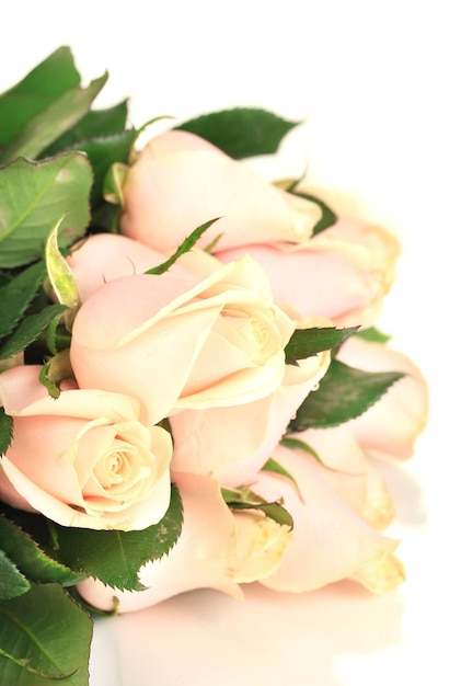 Bellissimo mazzo di rose isolato su bianco