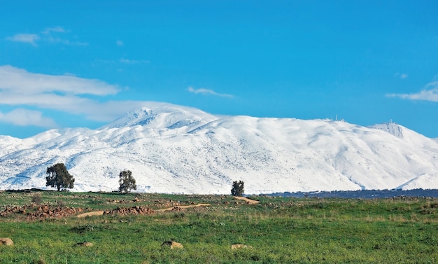 Bellissimo monte Hermon innevato in inverno in Israele