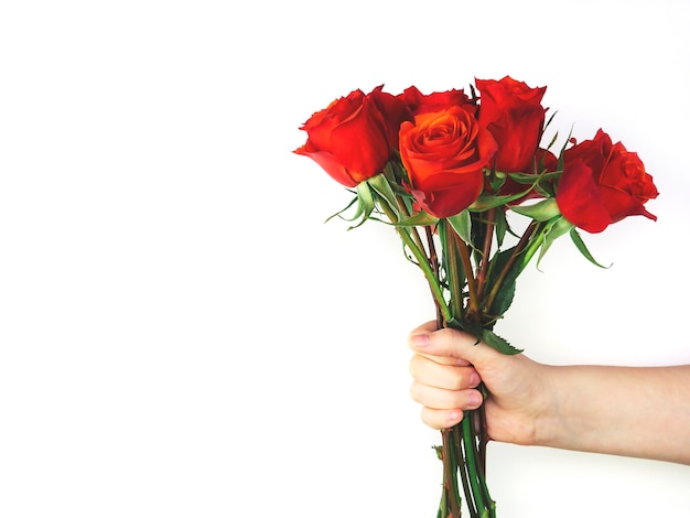 Bellissimo motivo astratto con rose rosse su sfondo bianco Sfondo della natura Sfondo della natura