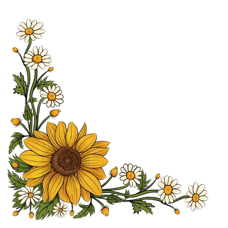 Bellissimo motivo di cartone animato a girasole giallo con uno sfondo bianco morbido modello o cornice di girasole