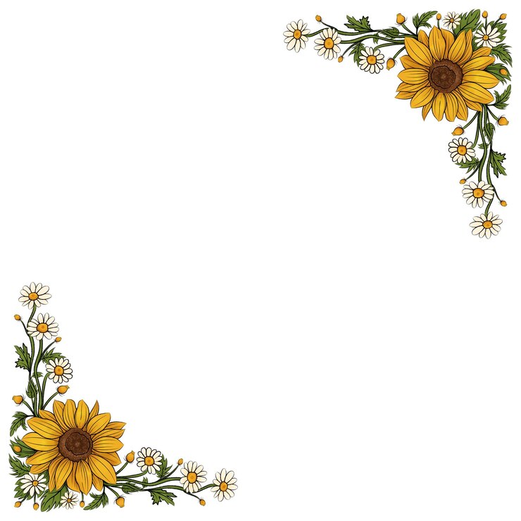 Bellissimo motivo di cartone animato a girasole giallo con uno sfondo bianco morbido modello o cornice di girasole