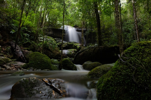 Bellissimo paesaggio a cascata. Cascata nella foresta.