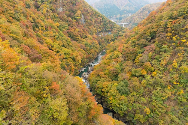 Bellissimo paesaggio a Kinugawa