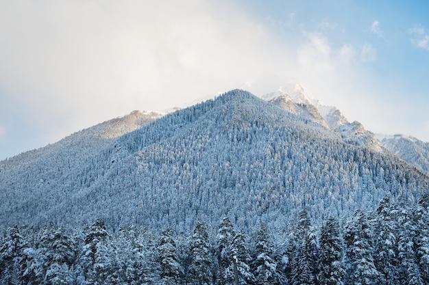 Bellissimo paesaggio ad Arkhyz con montagne e foreste innevate in una giornata invernale nuvolosa Montagne del Caucaso Russia