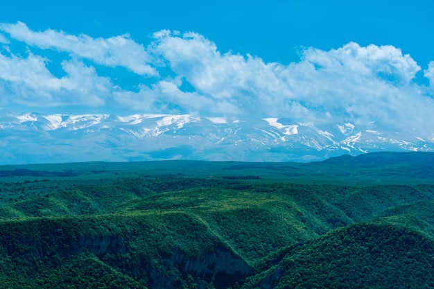 Bellissimo paesaggio alpino boscoso con catena montuosa innevata all'orizzonte