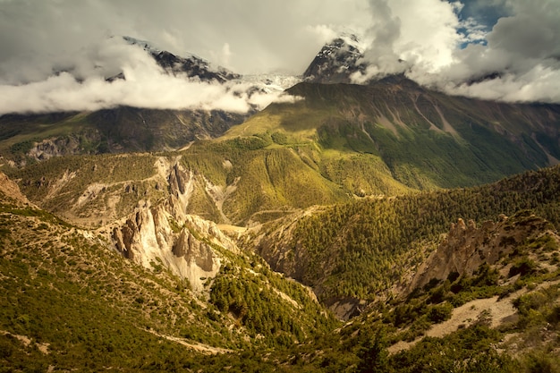 Bellissimo paesaggio asiatico