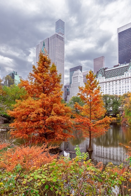 Bellissimo paesaggio autunnale a Central Park