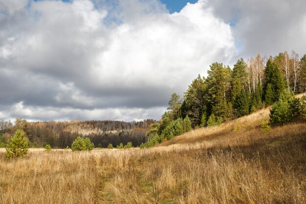 Bellissimo paesaggio autunnale al parco mattutino