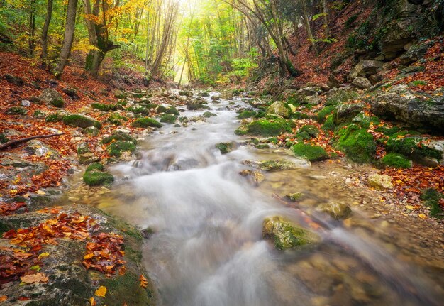 Bellissimo paesaggio autunnale con fiume di montagna e alberi colorati con foglie verdi, rosse, gialle e arancioni