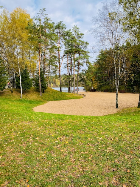 bellissimo paesaggio autunnale con foglie di alberi e un lago