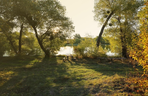 Bellissimo paesaggio autunnale con il tramonto tra gli alberi verdi e arancioni luogo pittoresco con