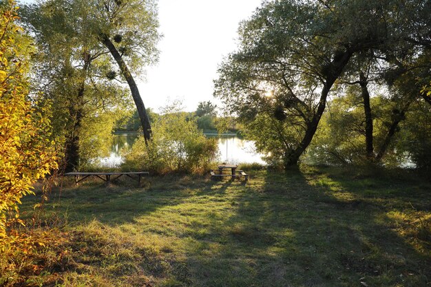 Bellissimo paesaggio autunnale con tramonto tra il verde e gli aranci Luogo pittoresco con lago