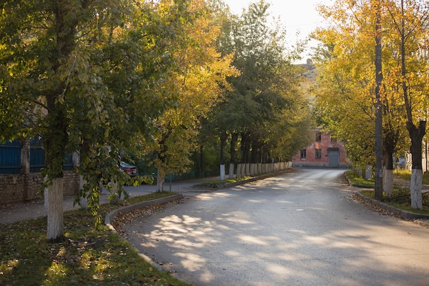 Bellissimo paesaggio autunnale in città, autunno, luce solare, foglie gialle