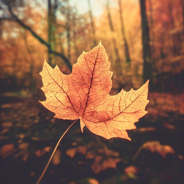 Bellissimo paesaggio autunnale sfocato con foglie autunnali al sole