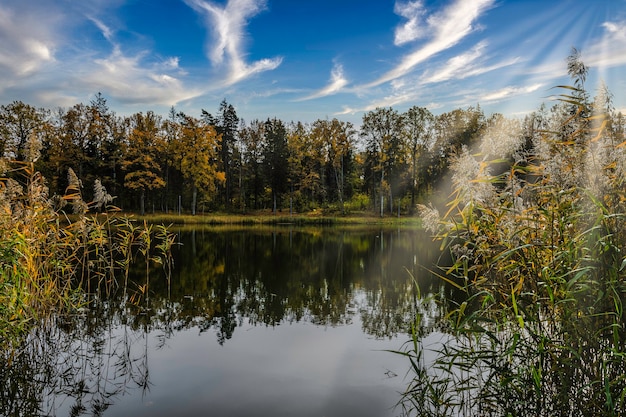 Bellissimo paesaggio autunnale vicino al laghetto del parco cittadino