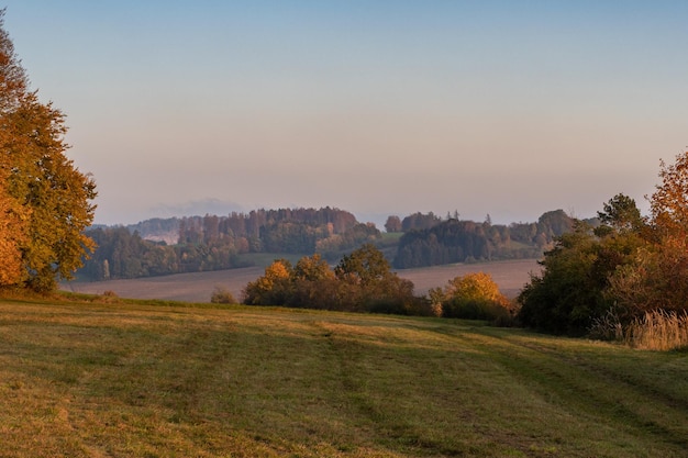Bellissimo paesaggio collinare autunnale Foglie di autunno nella foresta Repubblica Ceca