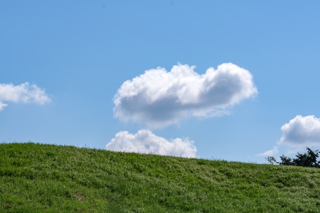 Bellissimo paesaggio collinare di vegetazione naturale in una soleggiata giornata estiva