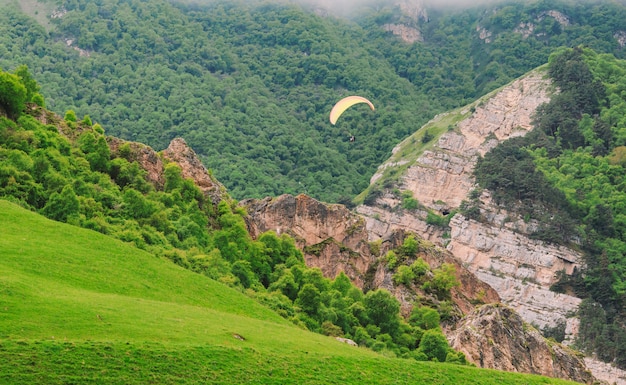 Bellissimo paesaggio con alianti.