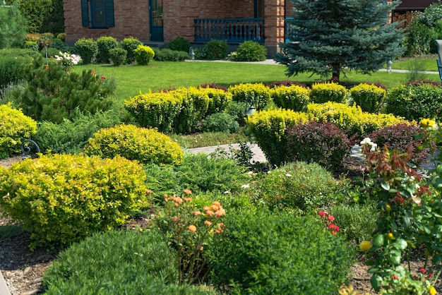 Bellissimo paesaggio con bellissime piante e fiori