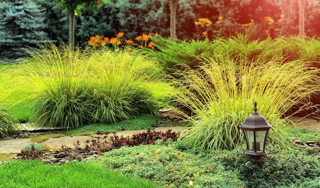 Bellissimo paesaggio con bellissime piante e fiori