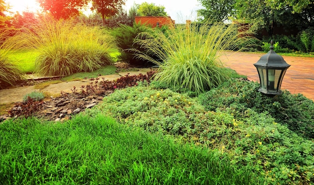 Bellissimo paesaggio con bellissime piante e fiori