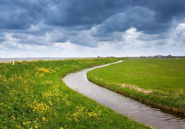 Bellissimo paesaggio con campo di erba verde