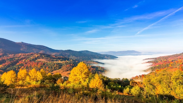 Bellissimo paesaggio con colline e montagne