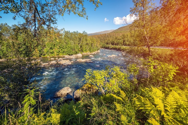 Bellissimo paesaggio con fiume di montagna in una giornata di sole. Bella natura della Norvegia. Europa