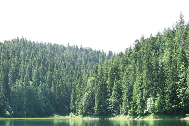 Bellissimo paesaggio con montagne e fiume