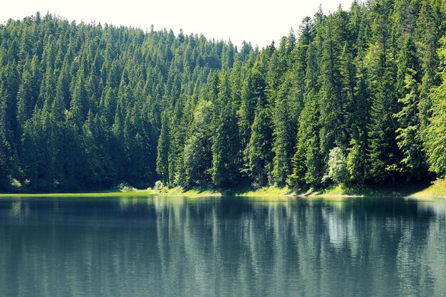 Bellissimo paesaggio con montagne e fiume