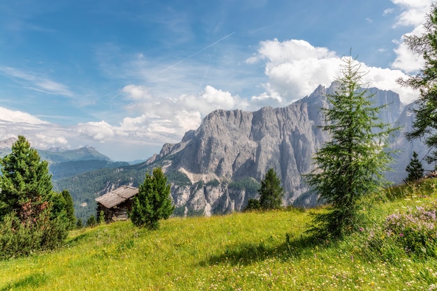 Bellissimo paesaggio con prato alpino su uno sfondo di montagne delle Dolomiti italiane.