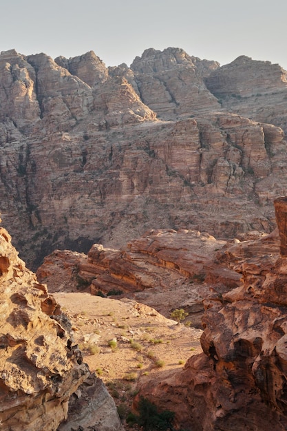 Bellissimo paesaggio con rocce di zenzero verdi piante primaverili e alberi a Petra Giordania Medio Oriente Designazione come patrimonio mondiale dell'UNESCO Pianeta rosso Paesaggio di Marte