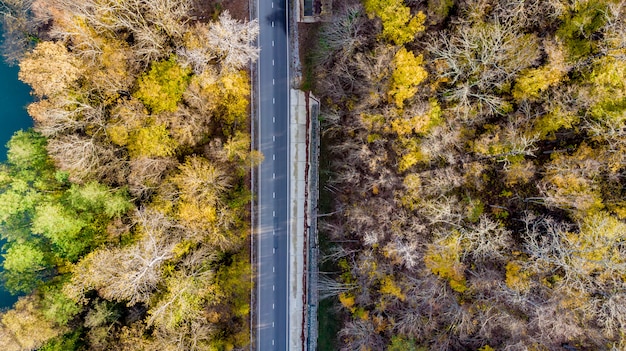 Bellissimo paesaggio con una strada lungo un fiume di montagna, alberi autunnali con verde, giallo,